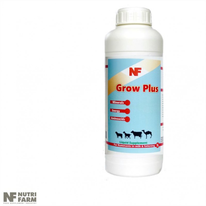 GROW PLUS Liquid Supplement For Ruminants in milk & fattening-Minerals-Energy-Amino acids