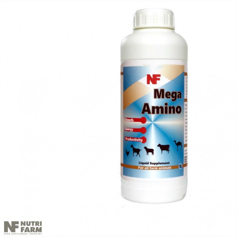 MEGA AMINO liquid supplement for all farm animals -Growth-Productivity-Energy