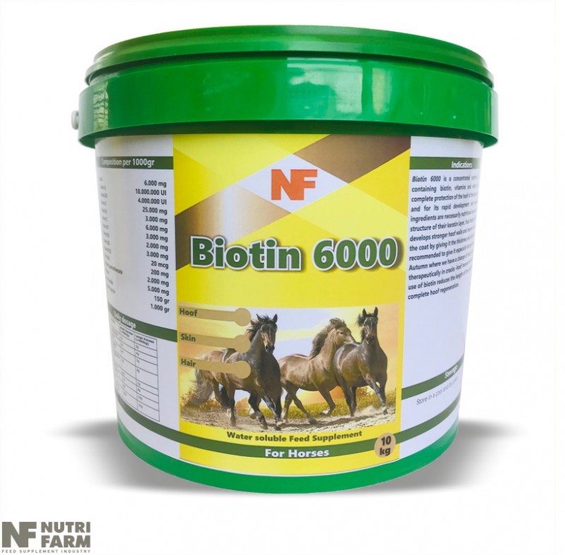 BIOTIN 6000<br>WATER SOLUBLE SUP.<br>Protection-Rapid development-Regeneration of hoof, skin & hair