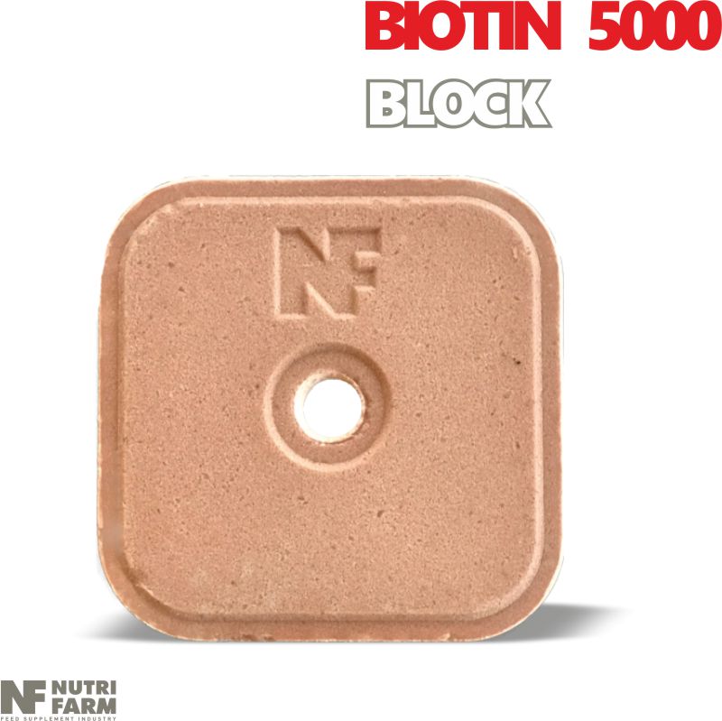 LICKING BLOCK BIOTIN 5000<br>Vitamins, Minerals & Biotin