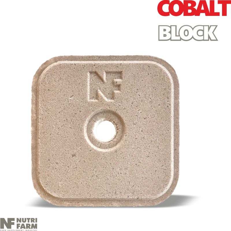 LICKING BLOCK COBALT<br>Vitamins, Minerals & Cobalt