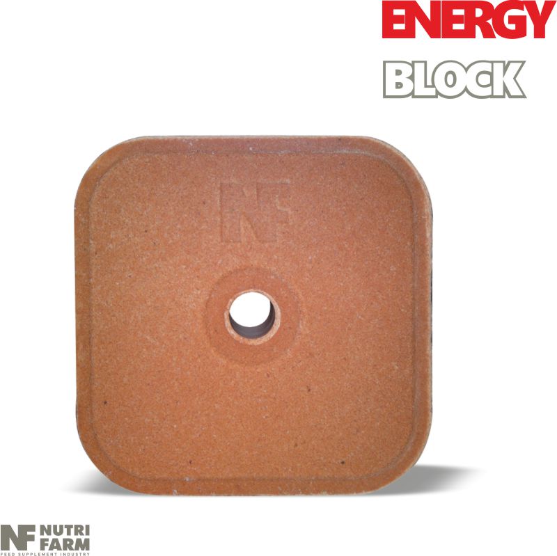 ENERGY LICKING BLOCK<br>Vitamins & Minerals<br>Energy increase