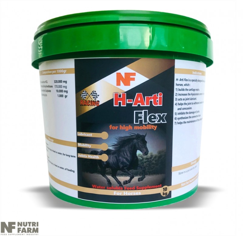 H- ARTI FLEX<br>WATER SOLUBLE SUPPLEMENT<br>High mobility