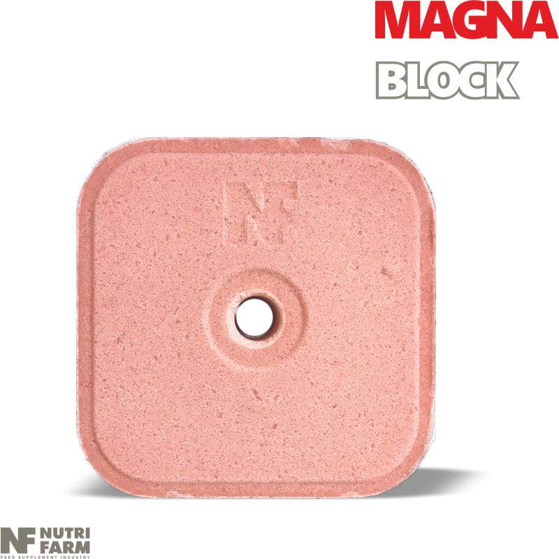 LICKING BLOCK MAGNA<br>Magnesium, Vitamins & Minerals