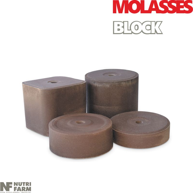 MOLASSES LICKING BLOCK<br>Minerals & Molasses