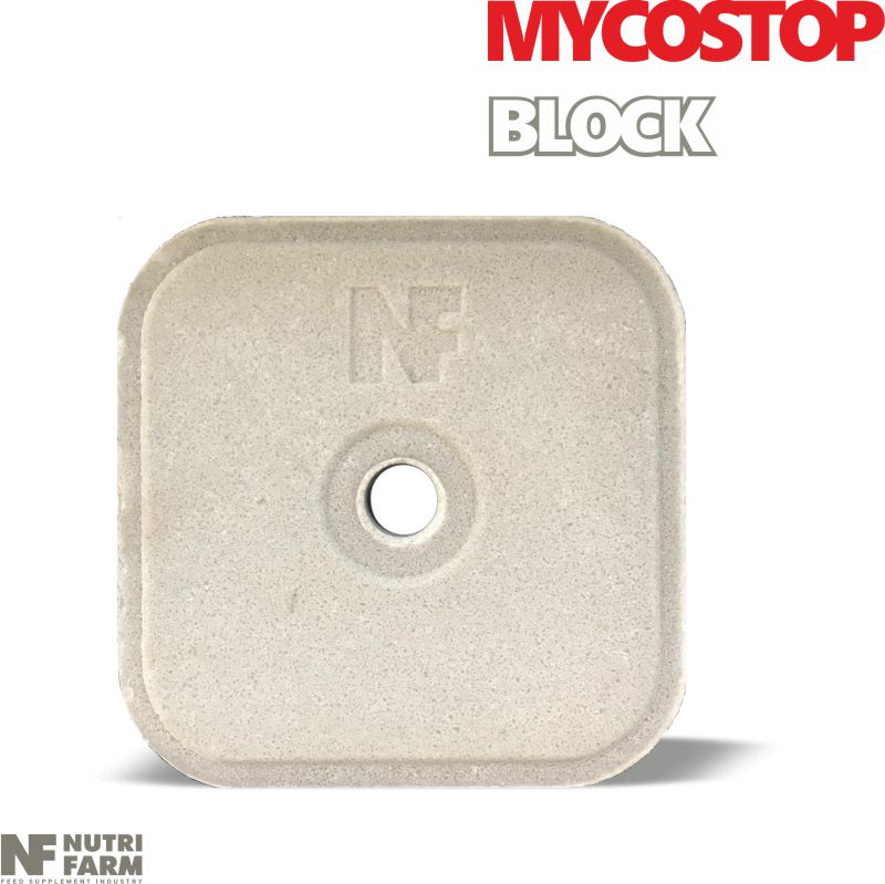 LICKING BLOCK MYCOSTOP<br>Minerals & Mycotoxin inhibitor